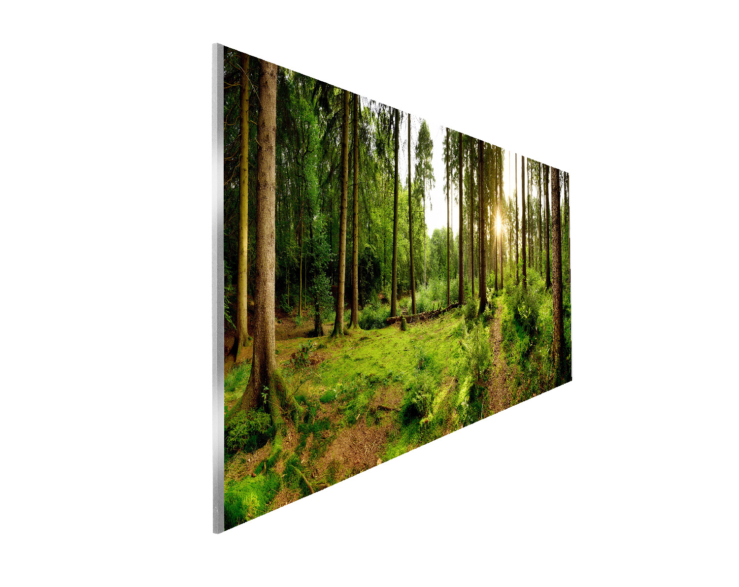 Badnische Waldweg