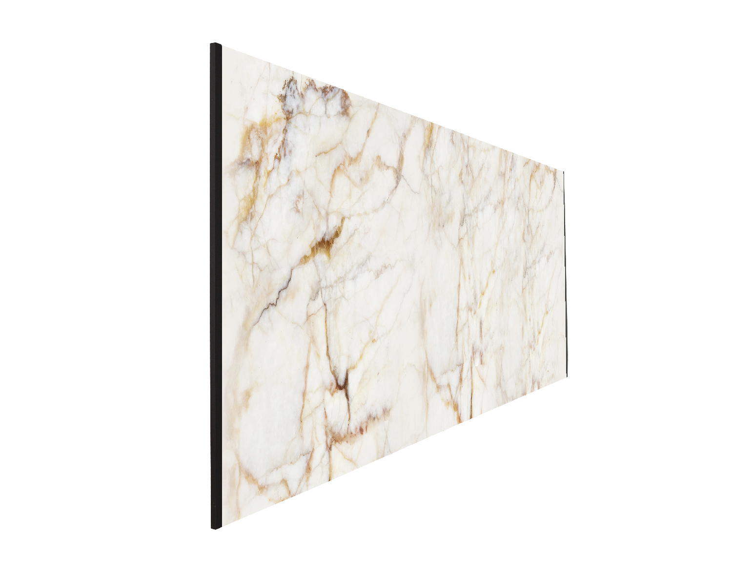 Badnische Marmor Fossil