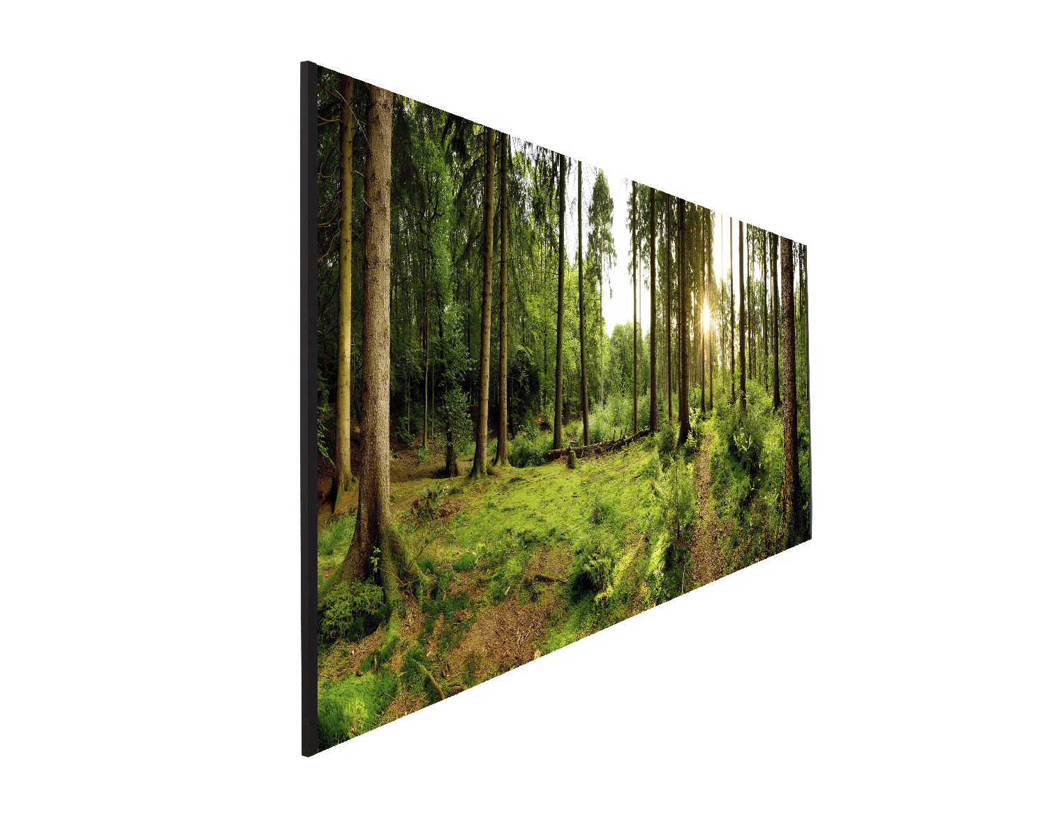 Badnische Waldweg